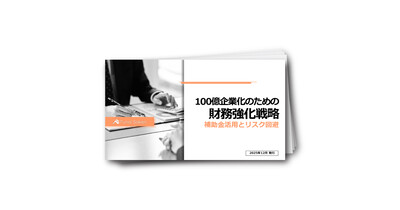 100億企業化のための財務強化戦略：補助金活用とリスク回避