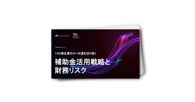 100億企業化への道を切り拓く　補助金活用戦略と財務リスク
