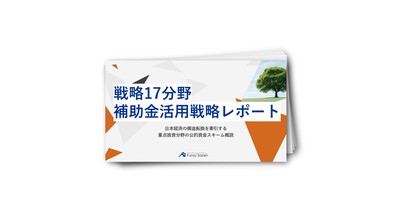 戦略17分野