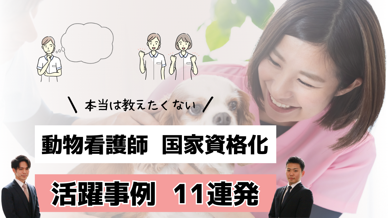 【動物看護師活用】もう人の問題で悩まない！解決策の鍵は新制度