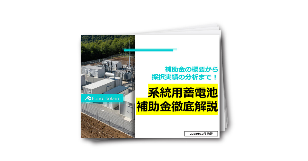 【採択実績に分析つき】系統用蓄電池補助金徹底解説