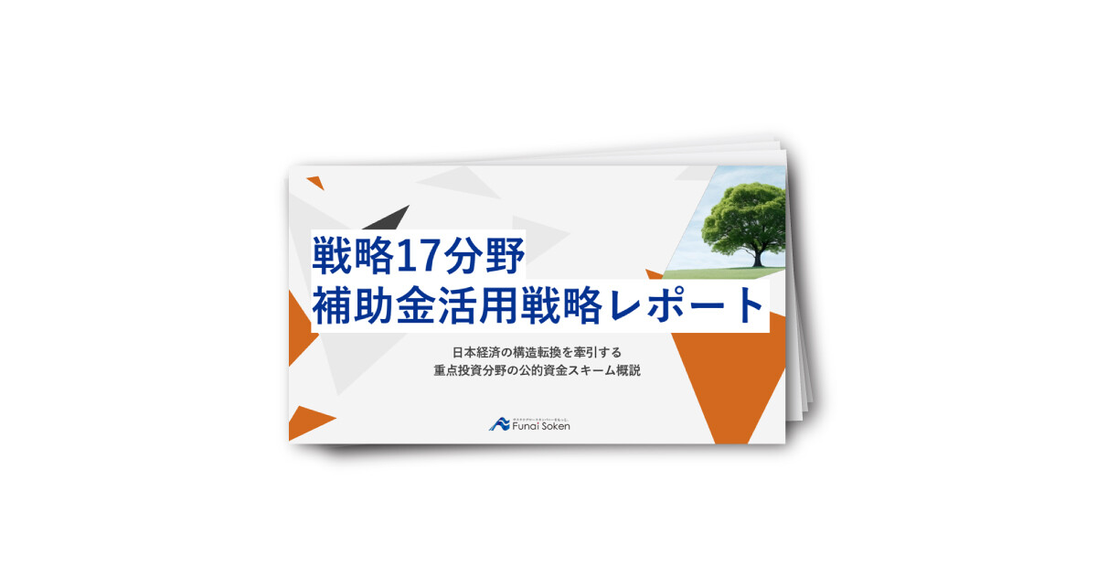 戦略17分野 補助金活用戦略レポート