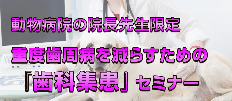 【webセミナー】歯科処置10件/月達成のための集客セミナー