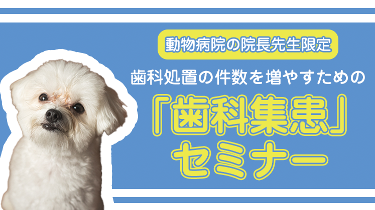 継続的に歯科処置月１０件以上達成する動物病院づくり