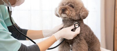 動物病院の固定客化・LTV（ライフタイムバリュー）向上支援