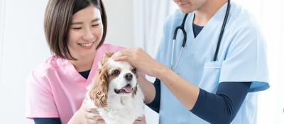 【動物病院】飼育頭数時代を勝ち抜くためのLTV活用戦略