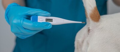 動物病院の客単価UP支援