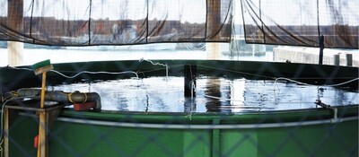 高収益陸上養殖コンサルティング