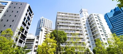 行政管理事務局受託・官公庁入札支援コンサルティング