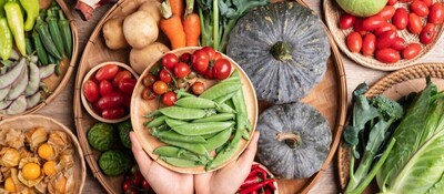 六次産業化支援コンサルティング