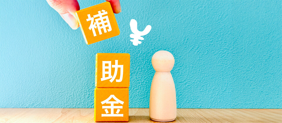 大規模成長投資補助金