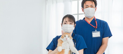 デジタル時代の動物病院経営：MEO対策で集患力をアップさせる