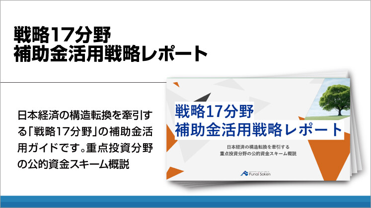 戦略17分野