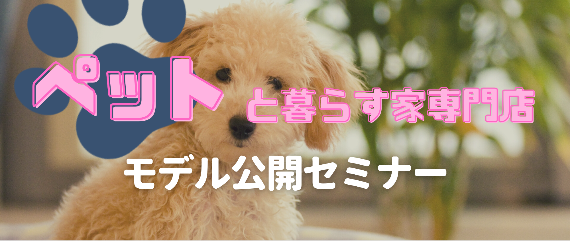 【webセミナー】ペットと暮らす家専門店モデル公開セミナー