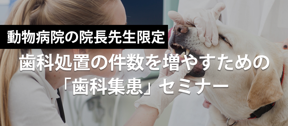 継続的に歯科処置月１０件以上達成する動物病院づくり