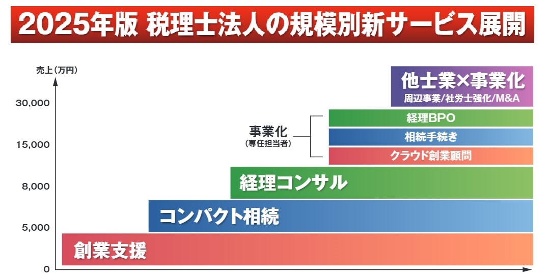2025年版 税理士法人の規模別新サービス展開
