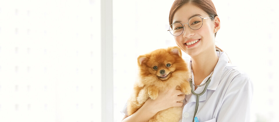 動物病院のスタッフのモチベーションを上げる方法とは?